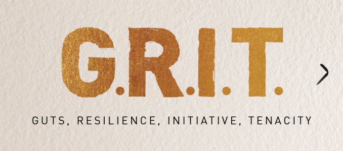 Grit-gratitude